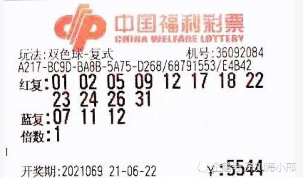 雙色球最新開獎號碼揭秘,探索與期待幸運降臨