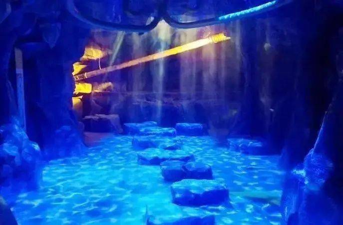 光影魅力,最新電影探索之旅